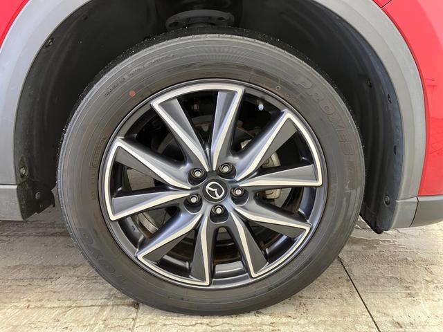 ���������܂Ŗ��S�`�t�s�n�J�[�Z�u�����m���R�X�͂Q���N���}���܂����I�I