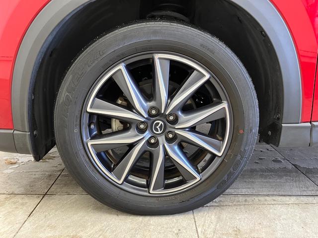 ���k���[���ɂ̓L�b�Y���[�����������Ă��܂��̂ŁA�������Ƃ��Ԃ����I�т��������܂��I