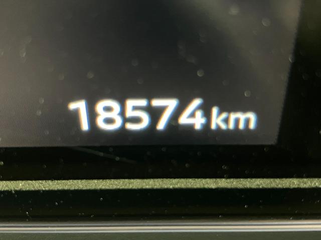 ���푽�l�ȎԎ킩�炨�C�ɓ���̈������ꏏ�ɂ��T�����܂���