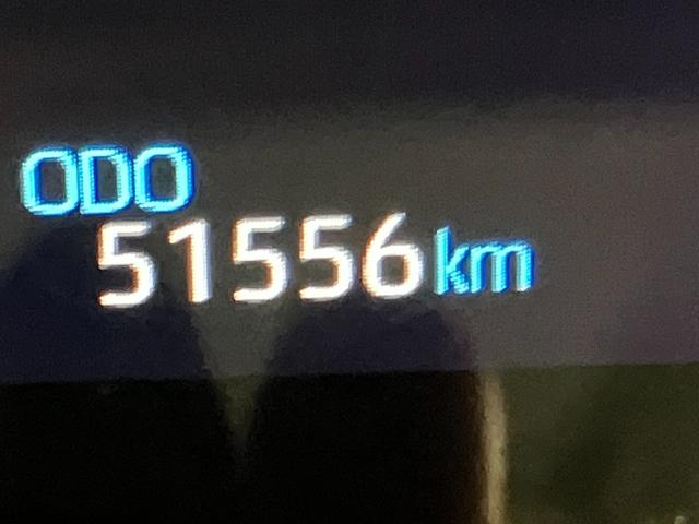 ���푽�l�ȎԎ킩�炨�C�ɓ���̈������ꏏ�ɂ��T�����܂���