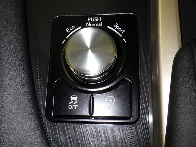 RX RX300 レクサス認定中古車CPO 三眼フルLEDヘッドランプ パノラミックビューモニター ファブリック/ブラック/3Dフィルム フロアマット(純正) ナンバーフレーム(14枚目)