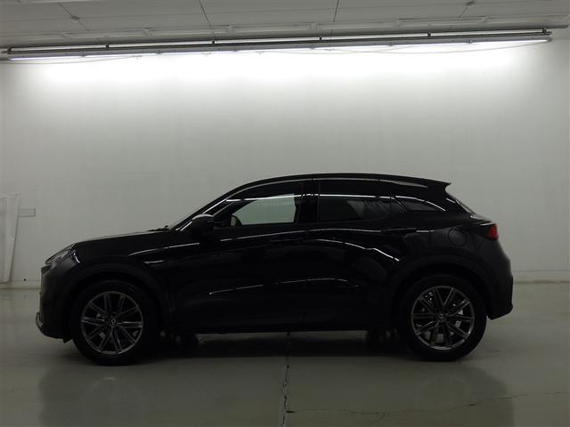 �y���i�ȔF���z�V�ԓo�^����V�N�ȓ��@���s�����P�O�������ȓ��̂�