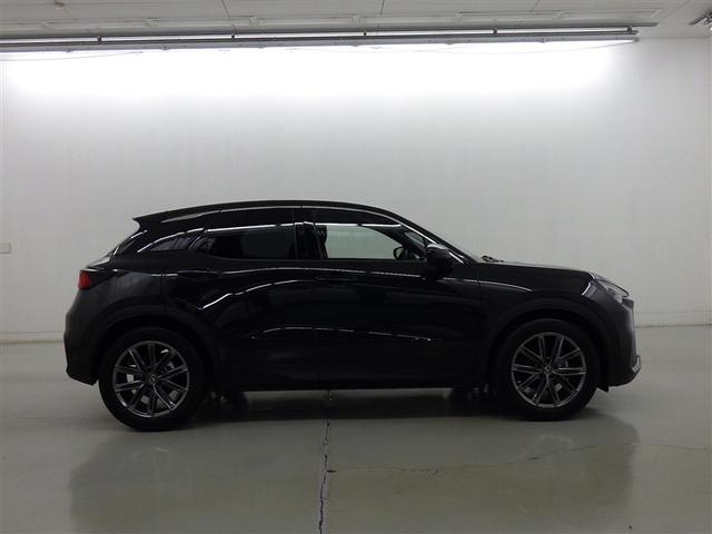 �k�d�w�t�r�̒��Îԁ��F�蒆�ÎԂł͂���܂���B�k�d�w�t�r����߂����i�ȔF���ł���A���x�o�^����V�N�ȓ��A�����s�����P�O�������ȓ��̂k�d�w�t�r�Ԃ݂̂������Ă��܂��B