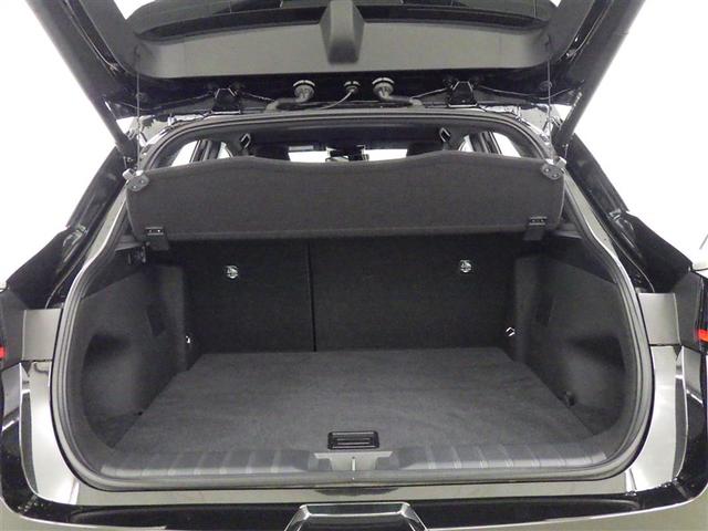 �y���N�T�X�I�[�i�[�Y�J�[�h�z�k�d�w�t�r�I�[�i�[�̏؂ƂȂ�I���W�i���J�[�h�B�S���̃��N�T�X�̔��X�ŃJ�[�h�����񎦂���������΁A�X���[�Y�Ȏ�t�Ɠ_���␮���̗��������p�����œK�ȃ����e�i���X���s���܂��B