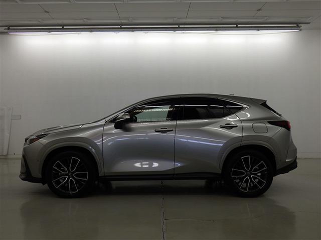 �y���i�ȔF���z�V�ԓo�^����V�N�ȓ��@���s�����P�O�������ȓ��̂�