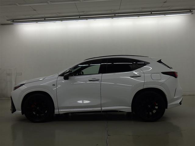 �y���i�ȔF���z�V�ԓo�^����V�N�ȓ��@���s�����P�O�������ȓ��̂�