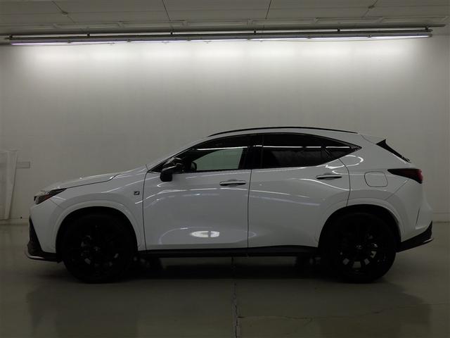 �y���i�ȔF���z�V�ԓo�^����V�N�ȓ��@���s�����P�O�������ȓ��̂�