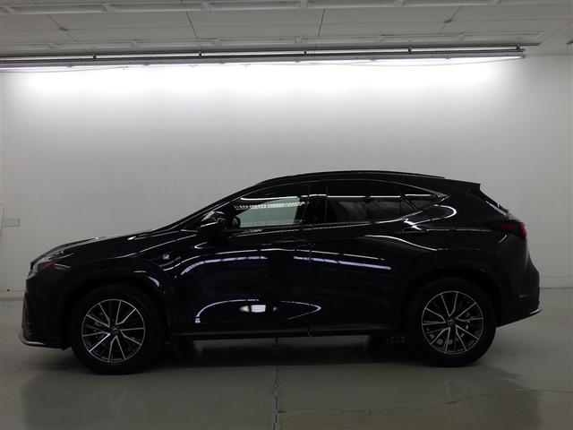 �y���i�ȔF���z�V�ԓo�^����V�N�ȓ��@���s�����P�O�������ȓ��̂�