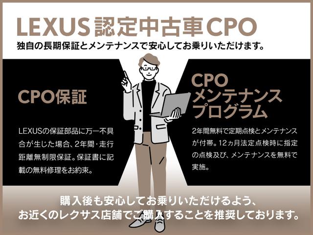 ＲＸ ＲＸ３００　Ｆスポーツ　パノラマルーフ（チルト＆アウタースライド式）　ルーフレール　三眼フルＬＥＤヘッドランプ　ブラインドスポットモニター　Ｆ　ＳＰＯＲＴ専用本革　衝突被害軽減ブレーキ　ペダル踏み間違い時加速抑制装置（2枚目）