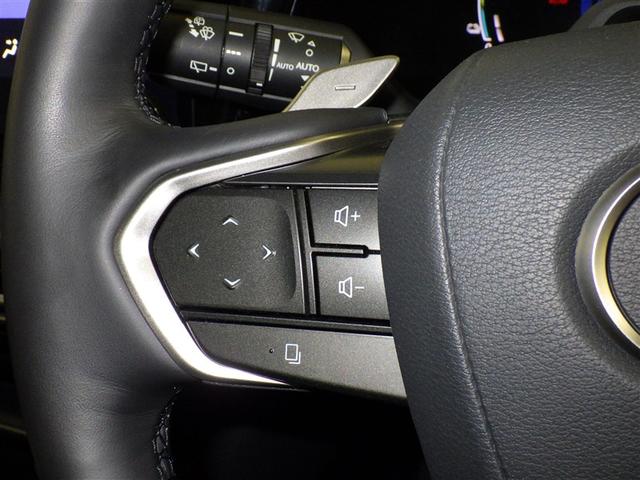 RX RX450h+ バージョンL レクサス認定中古車CPO 充電ケーブル マークレビンソンプレミアムサラウンドサウンドシステム パノラマルーフ 輻射ヒーター フロアマット(純正) ナンバーフレーム ドライブレコーダー(純正/前後)(14枚目)