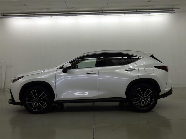 �y���i�ȔF���z�V�ԓo�^����V�N�ȓ��@���s�����P�O�������ȓ��̂�