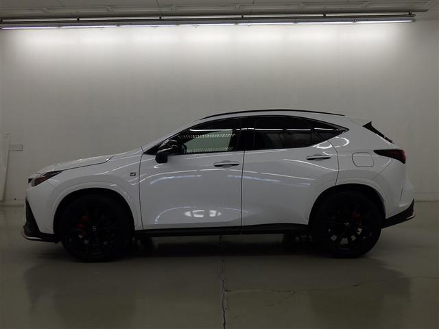 �y���i�ȔF���z�V�ԓo�^����V�N�ȓ��@���s�����P�O�������ȓ��̂�