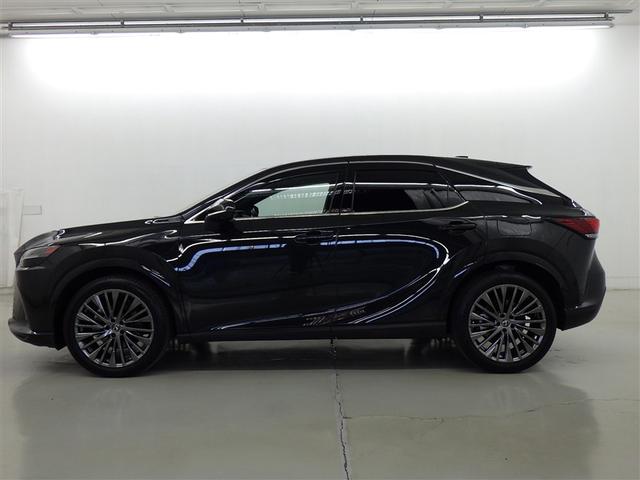 �y���i�ȔF���z�V�ԓo�^����V�N�ȓ��@���s�����P�O�������ȓ��̂�