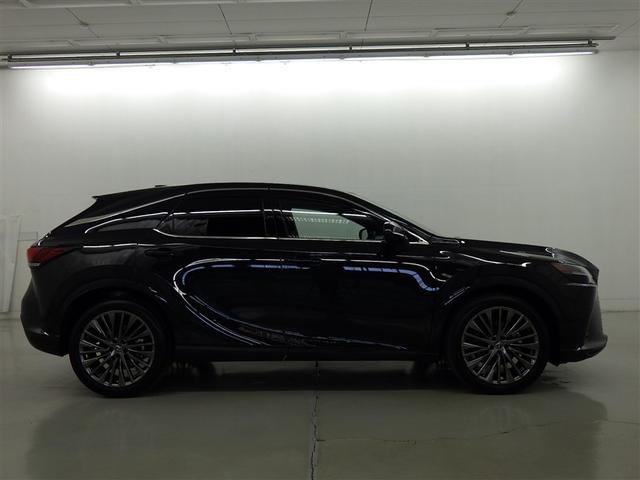 �k�d�w�t�r�̒��Îԁ��F�蒆�ÎԂł͂���܂���B�k�d�w�t�r����߂����i�ȔF���ł���A���x�o�^����V�N�ȓ��A�����s�����P�O�������ȓ��̂k�d�w�t�r�Ԃ݂̂������Ă��܂��B