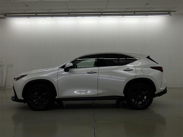 �y���i�ȔF���z�V�ԓo�^����V�N�ȓ��@���s�����P�O�������ȓ��̂�