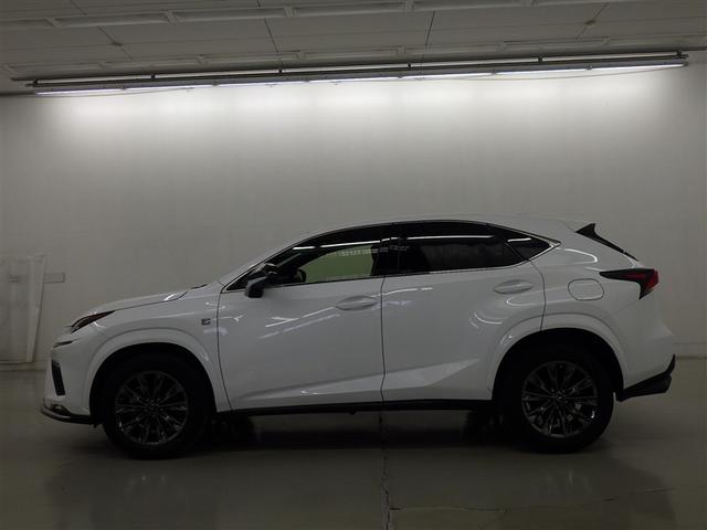 �y���i�ȔF���z�V�ԓo�^����V�N�ȓ��@���s�����P�O�������ȓ��̂�