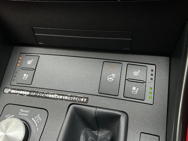 IS IS300h Fスポーツ レクサス認定中古車CPO 後席サイドエアバッグ ムーンルーフ フルLEDヘッドランプ パノラミックビューモニター フロアマット(純正) サイドバイザー ナンバーフレーム ドライブレコーダー(41枚目)