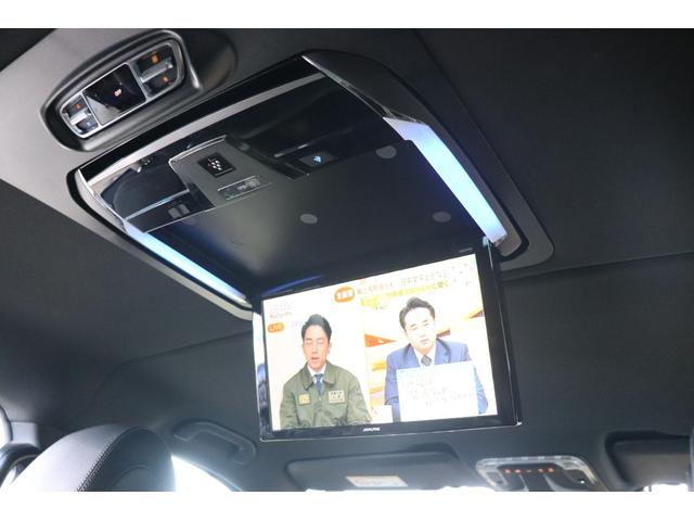 �P�R�@�e�탍�[����舵���������܂��I�c�������u�����[���i�c������W�O���j�I�I���R�^�I���R�I�[�g���[�X�^�v���~�A�^�J�[�v���~�A