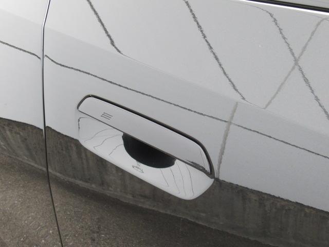 コンフォートアクセスも装備です。