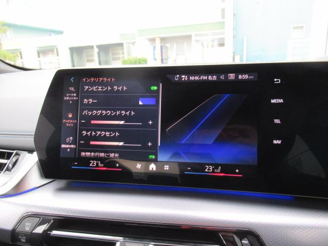 アンビエントライト装備です。各色から選択できます。