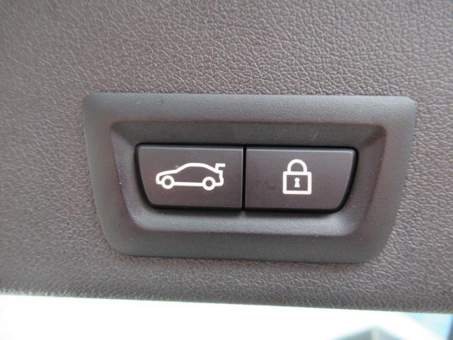 Ｘ６ ｘＤｒｉｖｅ　３５ｄ　Ｍスポーツ　コンフォートパッケージ／ガラスサンルーフ／２２インチホイール／プラスパッケージ／コニャックレザーシート（13枚目）