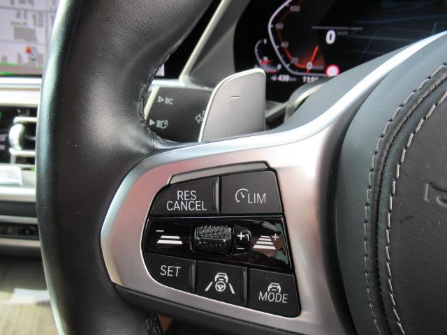 Ｘ６ ｘＤｒｉｖｅ　３５ｄ　Ｍスポーツ　コンフォートパッケージ／ガラスサンルーフ／２２インチホイール／プラスパッケージ／コニャックレザーシート（30枚目）