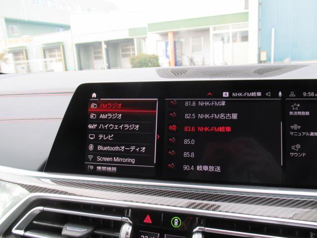 Ｘ６ Ｍ ファースト・エディション　修復歴あり／世界限定２５０台／日本限定５台／専用フローズン塗装／コンペティションパッケージ／レザーシート／純正ナビゲーション／全方位カメラ（19枚目）