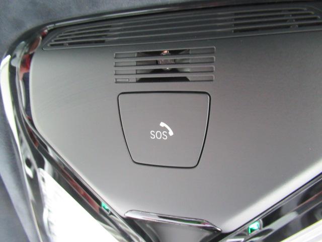 Ｘ６ Ｍ ファースト・エディション　修復歴あり／世界限定２５０台／日本限定５台／専用フローズン塗装／コンペティションパッケージ／レザーシート／純正ナビゲーション／全方位カメラ（40枚目）