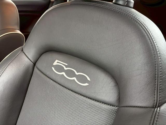 500X クロス ワンオーナー 禁煙車 社外ナビ ETC バックカメラ シートヒーター LEDヘッド・フォグ ルーフレール ドラレコ前後 社外レーダー 純正17インチAW 正規ディーラー記録簿 第三者機関査定実施済み(26枚目)