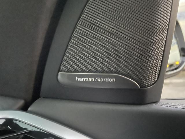 X7 M50i スカイラウンジパノラマサンルーフ・22インチオプションアルミ・2列目コンフォートシート・ウェルネスパッケージ・リアシートエンターテイメントシステムプロフェッショナル・全周囲カメラ 後席モニター(21枚目)
