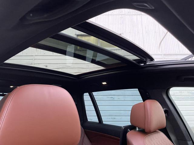 X7 M50i スカイラウンジパノラマサンルーフ・22インチオプションアルミ・2列目コンフォートシート・ウェルネスパッケージ・リアシートエンターテイメントシステムプロフェッショナル・全周囲カメラ 後席モニター(67枚目)