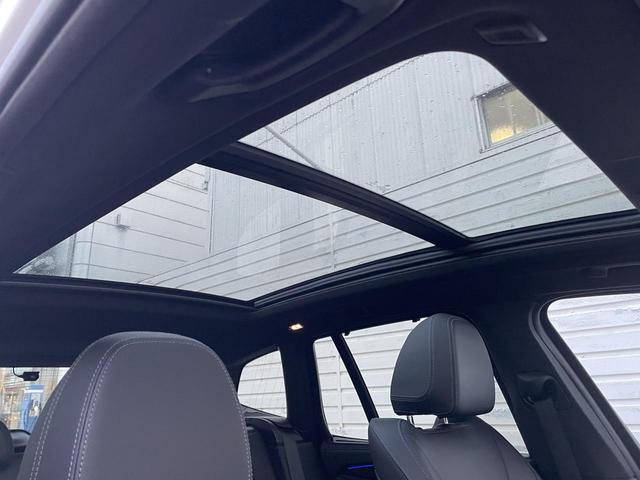 X3 xDrive 20d Mスポーツ アダプティブクルーズ サンルーフ 全周囲カメラ セレクトPKG 4WD 衝突軽減装置 純正ナビ 黒レザーシート Bluetooth接続 電動リアゲート パワーシート ハーマンカードンスピーカー(31枚目)