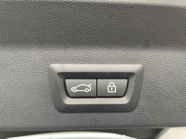 X3 xDrive 20d Mスポーツ アダプティブクルーズ サンルーフ 全周囲カメラ セレクトPKG 4WD 衝突軽減装置 純正ナビ 黒レザーシート Bluetooth接続 電動リアゲート パワーシート ハーマンカードンスピーカー(62枚目)