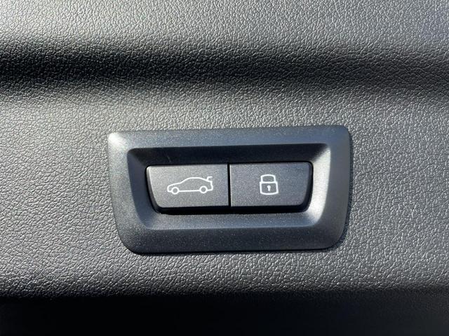 X1 xDrive 20d xライン 認定中古車 2年保証付 禁煙車 カーブドディスプレイ ハイラインPKG OP19インチAW ACC 全周囲カメラ harman/kardon パワーバックドア 純正ナビ LEDヘッドライト(28枚目)