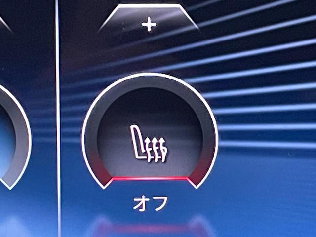 X1 xDrive 20i Mスポーツ 認定中古車 4WD カーブドディスプレイ ハーフレザーシート アップルカープレイ アダプティブクルーズコントロール サラウンドビューモニター ワイヤレスチャージング シートヒーター アダプティブLED(10枚目)