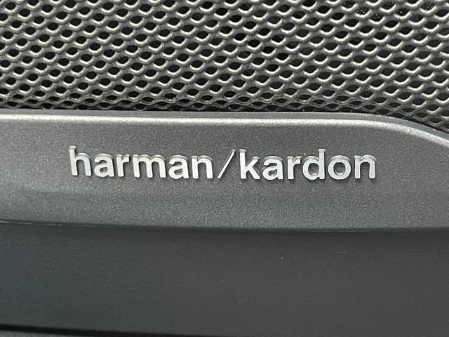 X7 xDrive 40d Mスポーツ 認定中古車 6人乗り スカイラウンジパノラマサンルーフ タルトゥーフォレザー ハーマンカードン シートベンチレーション サラウンドビューモニター 保温保冷カップホルダー OP22インチアルミホイール(11枚目)