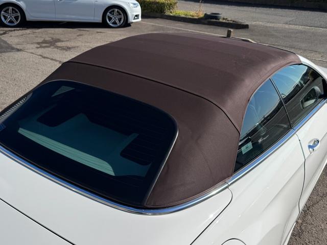 �u���E���y�I�Y��ȏ�Ԃ��ۂ���Ă��܂��I