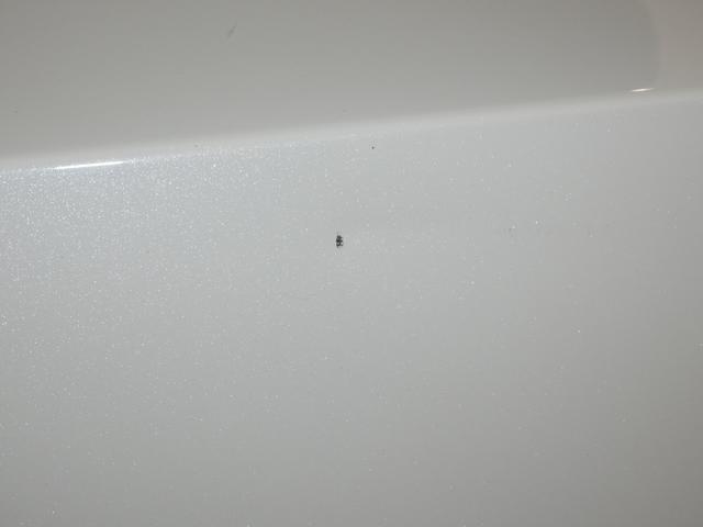 RX RX450h Fスポーツ ムーンルーフ 三眼ヘッドライト パーキングサポートブレーキ ブラインドスポットモニター パノラミックビューモニター セカンドシートヒーター セカンドパワーシート スペアタイア ルーフレール ITS付き(22枚目)