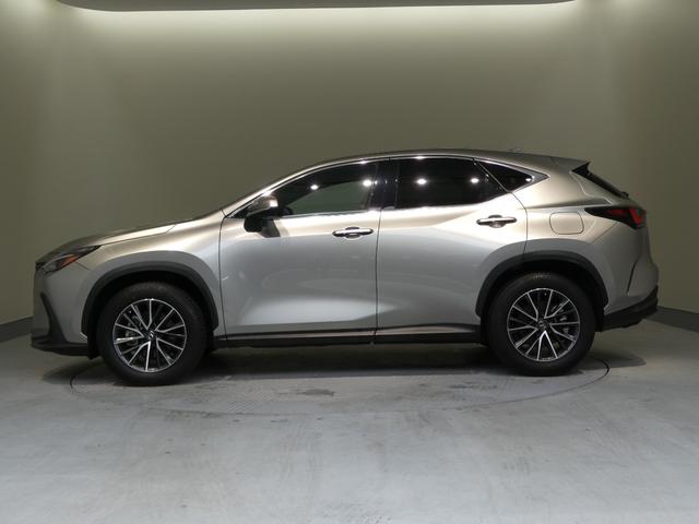 NX NX250 デジタルキー パノラミックビューモニター パーキングサポートブレーキ付き(9枚目)