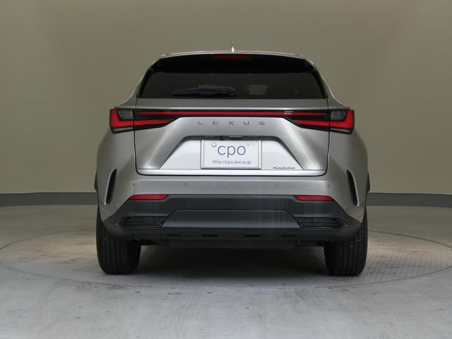 NX NX250 デジタルキー パノラミックビューモニター パーキングサポートブレーキ付き(38枚目)