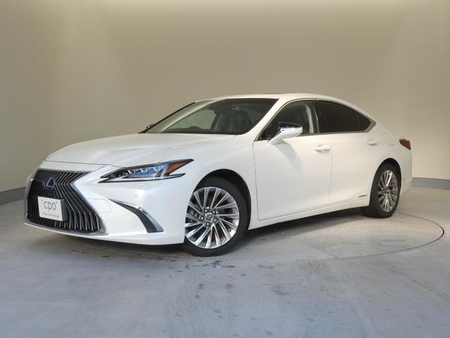 ＥＳ ＥＳ３００ｈ　バージョンＬ　おくだけ充電付き（14枚目）