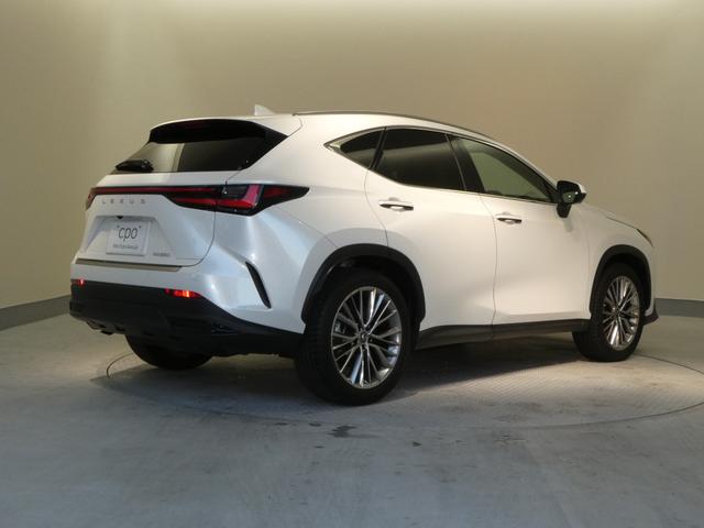 ＮＸ ＮＸ２５０　バージョンＬ　ムーンルーフ　ルーフレール　パノラミックビューモニター　パーキングサポートブレーキ　デジタルインナーミラー　寒冷地仕様２３５／５０Ｒ２０プレミアムメタリック塗装付き（21枚目）