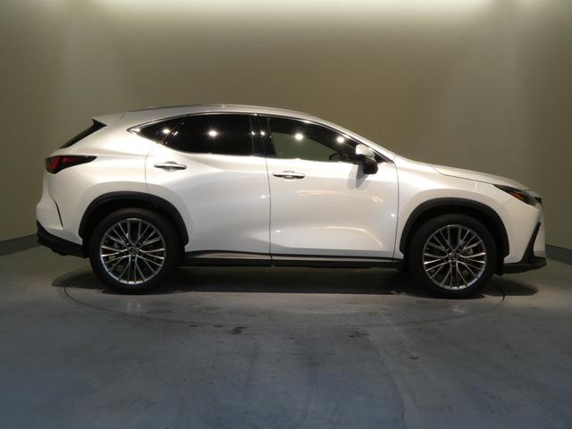 ＮＸ ＮＸ２５０　バージョンＬ　ムーンルーフ　ルーフレール　パノラミックビューモニター　パーキングサポートブレーキ　デジタルインナーミラー　寒冷地仕様２３５／５０Ｒ２０プレミアムメタリック塗装付き（22枚目）