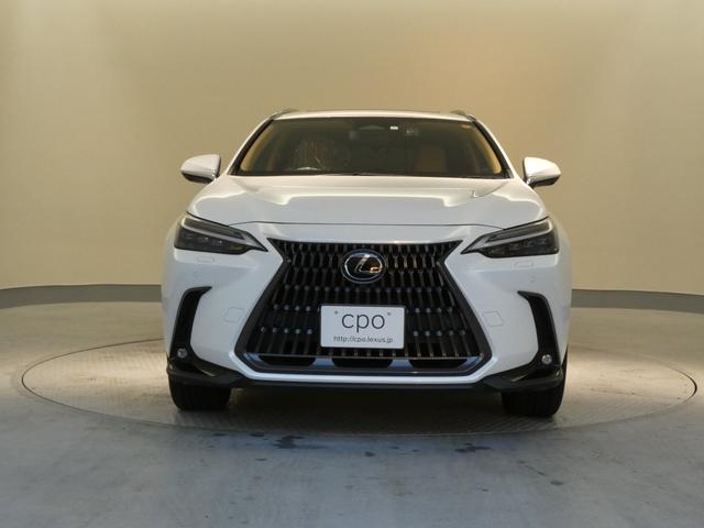 ＮＸ ＮＸ２５０　バージョンＬ　ムーンルーフ　ルーフレール　パノラミックビューモニター　パーキングサポートブレーキ　デジタルインナーミラー　寒冷地仕様２３５／５０Ｒ２０プレミアムメタリック塗装付き（42枚目）