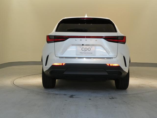 ＮＸ ＮＸ２５０　バージョンＬ　ムーンルーフ　ルーフレール　パノラミックビューモニター　パーキングサポートブレーキ　デジタルインナーミラー　寒冷地仕様２３５／５０Ｒ２０プレミアムメタリック塗装付き（46枚目）