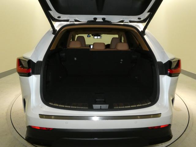 ＮＸ ＮＸ２５０　バージョンＬ　ムーンルーフ　ルーフレール　パノラミックビューモニター　パーキングサポートブレーキ　デジタルインナーミラー　寒冷地仕様２３５／５０Ｒ２０プレミアムメタリック塗装付き（47枚目）