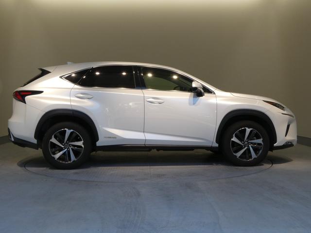 ＮＸ ＮＸ３００ｈ　Ｉパッケージ　ブラインドスポットモニター　リヤクロストラフィックアラート　パノラミックビューモニター　２２５／６０Ｒ１８（ダークメタリック塗装）（18枚目）