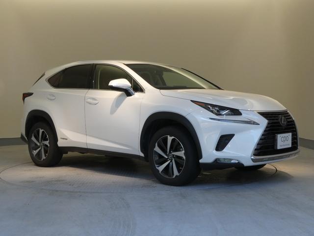 ＮＸ ＮＸ３００ｈ　Ｉパッケージ　ブラインドスポットモニター　リヤクロストラフィックアラート　パノラミックビューモニター　２２５／６０Ｒ１８（ダークメタリック塗装）（35枚目）