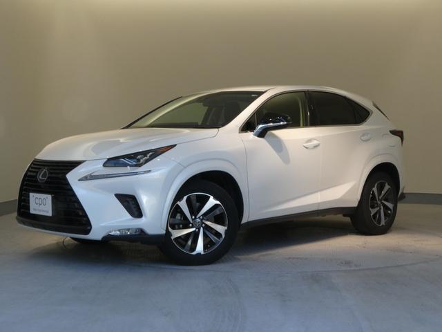 ＮＸ ＮＸ３００ブラックシークエンス　ブラインドスポットモニター　パーキングサポートアラート付き（14枚目）