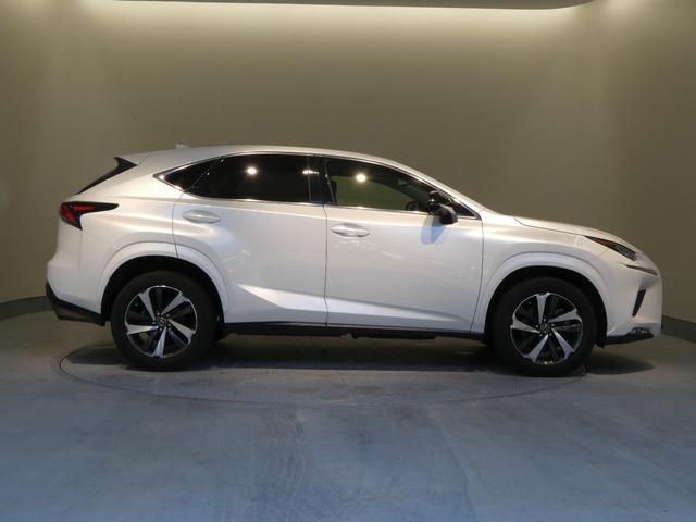 ＮＸ ＮＸ３００ブラックシークエンス　ブラインドスポットモニター　パーキングサポートアラート付き（19枚目）